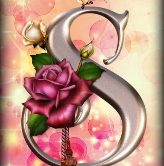 Meet your Posher, Stephanie - Picture 1 of 1